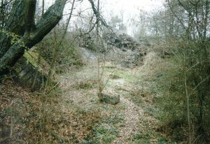 Remains of the Fhrerbunker of FHQu Felsennest